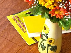 安裝地?zé)釙r(shí)如何選擇地?zé)岵膳匕?>
                                </div>
                            </div>
                            <div   id=